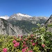 ... und alpenrosengeschmücktem Ausblick