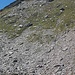 Versante di salita alla cresta che scema dalla cima del monte Bardan.<br />In alto è ben visibile l'intaglio roccioso che abbiamo preso come riferimento per la nostra ripida e faticosa salita...<br /><br />