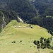 Der Weg endet etwa in der Bildmitte vor der einzelnen Tanne
