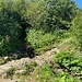 Es herrscht eine Hitzewelle. Aber das Bächlein führt doch noch Wasser.<br /><br /><br />
