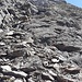 Der Weiterweg führt geradewegs durch das steile Geröll. Links von der Bildmitte ist eine kurze Kletterstellen.