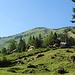 Bei Vorder Ahornen Blick zum Tierberg, den ich für mein Vorhaben ausgesucht habe