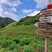 Direzione Passo Serosine, Passo Diciotto, Monte Boia