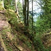 Rückweg über schönen Steig