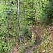 Rückweg über schönen Steig