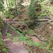Rückweg über schönen Steig