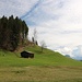 über die Wiese bei der Kochhütte