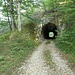 ... zum Tunnel, in welchem der Tittertenweg den Grat der Lämmlisflue unterquert;
wir folgen der schwach ausgeprägten Spur (links) zum Aufstieg entlang des Grates