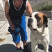 diesen niedlichen Barry haben wir gleich ins Herz geschlossen, leider können wir ihn nicht nach Hause nehmen... ;-)