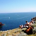 Punta dello Zenobito e Cala Rossa. Sullo sfondo l'isola d'Elba