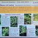 <b>Apprezzo molto i pannelli informativi che illustrano le peculiarità botaniche. Li ritengo di elevato livello scientifico.</b>