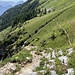 der Weg wechselt zwischen ruppig und angenehm