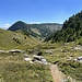 fast schon ein wenig wie Mittelgebirge