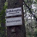 definitiv wieder auf dem richtigen Wege..