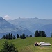 Ausblick von der Alp Stralrüfi zum Spitzmeilen