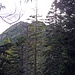 Rückblick Achterköpfe