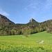 Richtung Gipfel