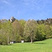 hinauf in den Wald