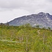 die Berge werden schroffer
