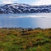 Gautelisvattnet