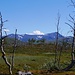 auf dem Weg nach Abisko