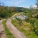 mal ein Fahrweg