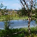 Rovvidievva