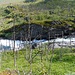Kamajåkka
