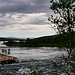 Abiskojavri
