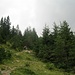 Aufwärts auf schönen Wanderwegen.