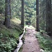 Auf dem Waalweg.