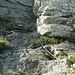 Die Felsen werden steiler und es gibt erste Seil-versicherte Abschnitte.