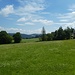 Der Blick zum Oberfrauenwald ist nicht so weit und deshalb eindeutig.