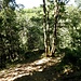  Lormes ist eine kleine französische Gemeinde im Département Nièvre in der Region Bourgogne-Franche-Comté. Das nach der Ulme benannte Örtchen liegt am nordwestlichen Rand des Morvan-Massivs und ist Teil eines regionalen Naturparks.<br /><br />Der Ort liegt oberhalb einer Schlucht, in der die zwei Bäche Goulot und Cornillat von Wasserfall zu Wasserfall fließen und schließlich, am unteren Ende des Tals, gemeinsam die Auxois bilden. Diese wiederum fließt 22,7 Kilometer weiter in die Yonne. Der Name der Schlucht: Gorges de Narvau. 