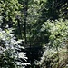 Dann ging es wieder zurück, zur einer Brücke unterhalb des Wasserfalls. Wir überquerten die Brücke...