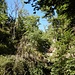 ...und schlängelten uns durch die Felsen ...