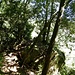 Weiter geht's durch den Wald.