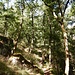 Am oberen Rand der Schlucht.