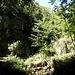 Felswände begrenzen die Schlucht.