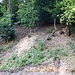 Bald zweigt rechts zwischen zwei Wohnhäusern ein steiler, geschotterter Waldweg ab, der schnell zu einem Wendeplatz führt, wo er endet. Hier stieg ich im Wald hinauf.