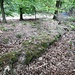 Das Mauersechseck.