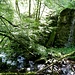 Schon tief unten in der Waldschlucht.