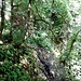 Beim Wasserfall befindet sich die höchste Kraxelstelle. 