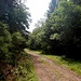 Wir wanderten noch eine Weile im Tal weiter, für etwa eineinhalb Kilometer. Ein breiter, lang nicht mehr so spannender Weg. 