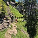 Hinunter zum Brünnigpass