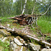 Botnen