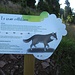 Lungo il sentiero abbiamo incontrato numerosi cartelli tematici, descriventi alcune specie arboree e animali di queste zone.