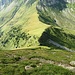 Ab dem Oberalper Grat ging es steil runter Richtung Sinsgäuer Schonegg mit einem weitern Abstieg ins Sulztal ...