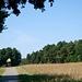 Der Havel-Radweg ist grundsätzlich gut ausgebaut...