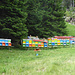 Farbenfrohe Bienenstöcke in der Nähe von Cavaglia.
